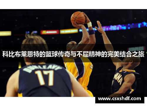 科比布莱恩特的篮球传奇与不屈精神的完美结合之旅