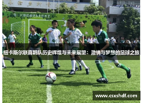 纽卡斯尔联喜鹊队历史辉煌与未来展望:激情与梦想的足球之旅 纽卡斯尔联喜鹊队历史辉煌与未来展望:激情与梦想的足球之旅