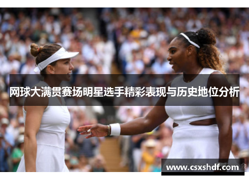 网球大满贯赛场明星选手精彩表现与历史地位分析 网球大满贯赛场明星选手精彩表现与历史地位分析