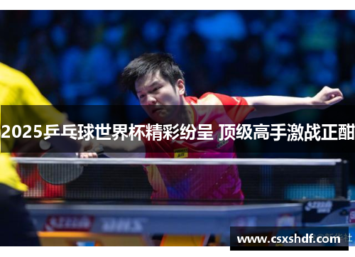 2025乒乓球世界杯精彩纷呈 顶级高手激战正酣