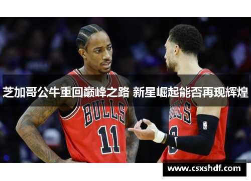 芝加哥公牛重回巅峰之路 新星崛起能否再现辉煌